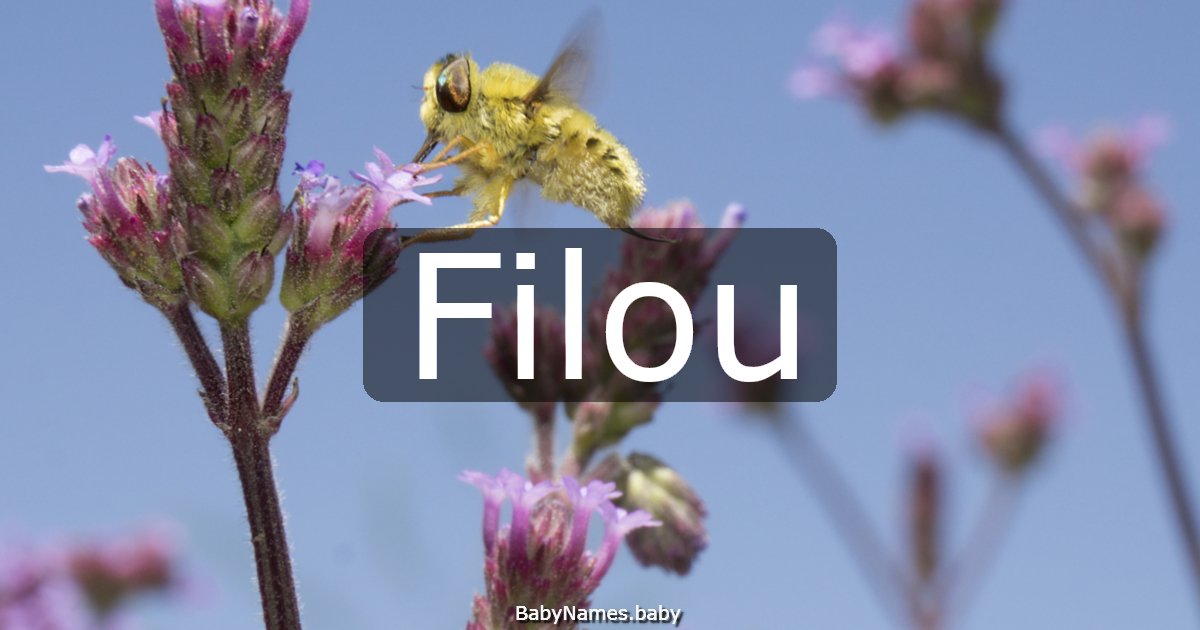 Filou