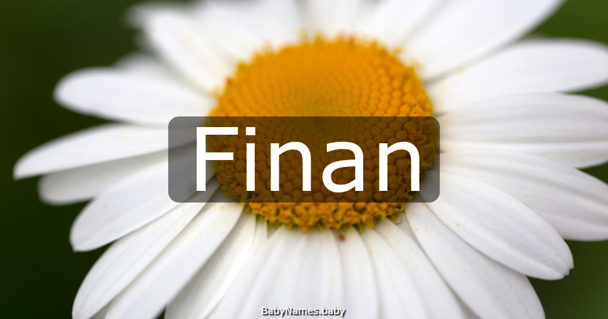 Finan