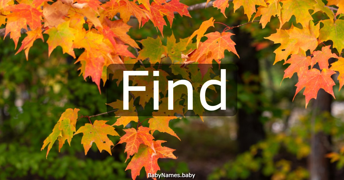 Find
