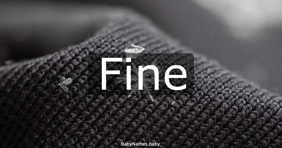 Fine
