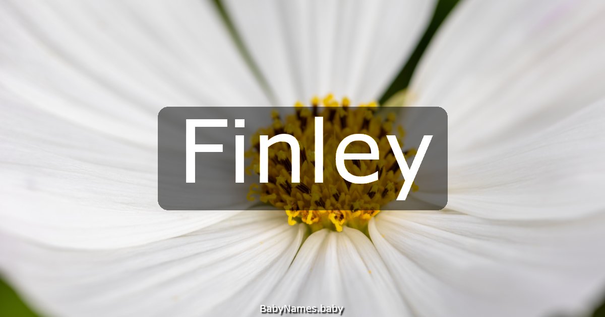 Finley