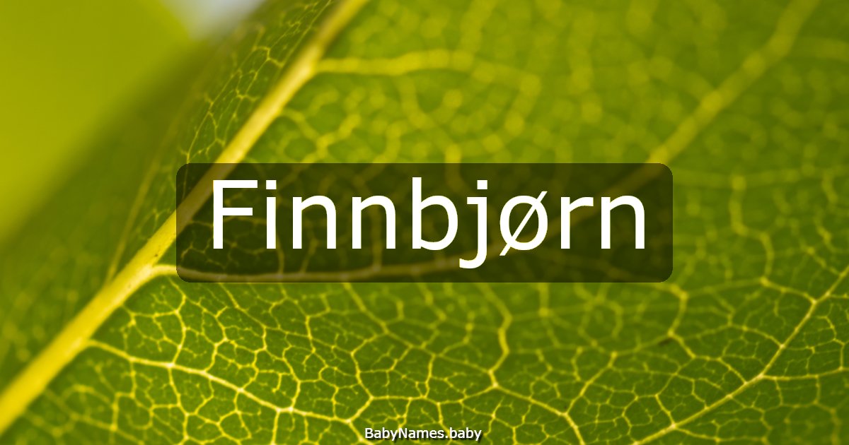 Finnbjørn