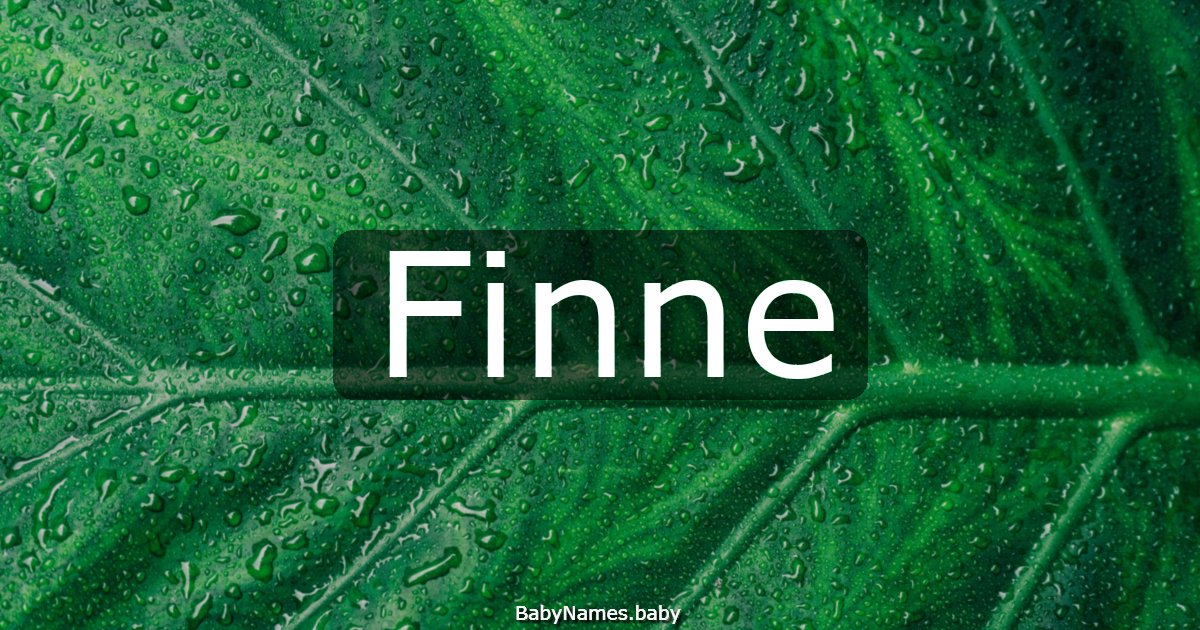 Finne