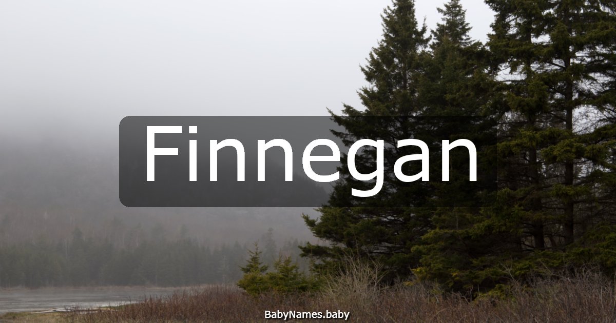 Finnegan