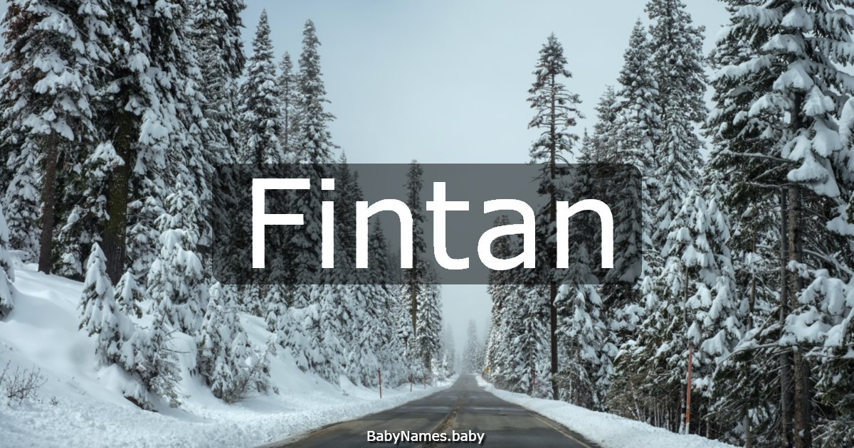 Fintan