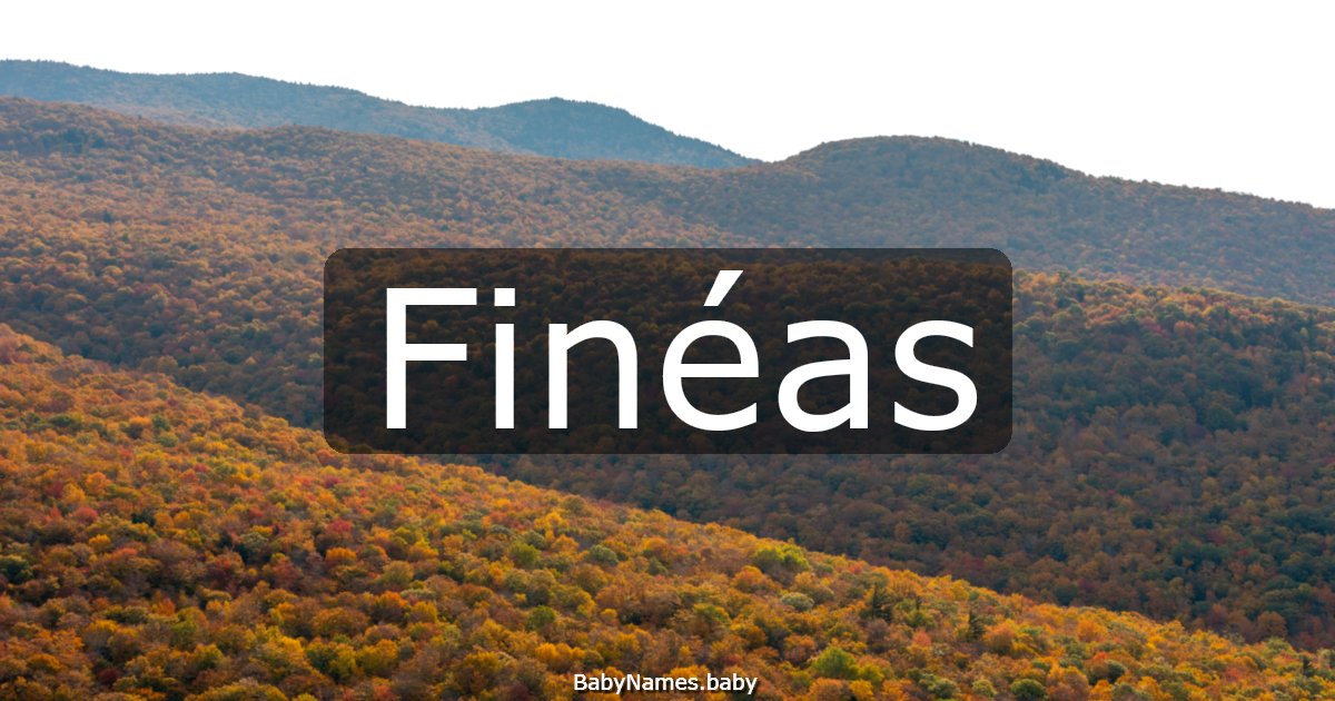 Finéas