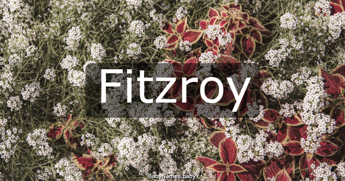 Fitzroy