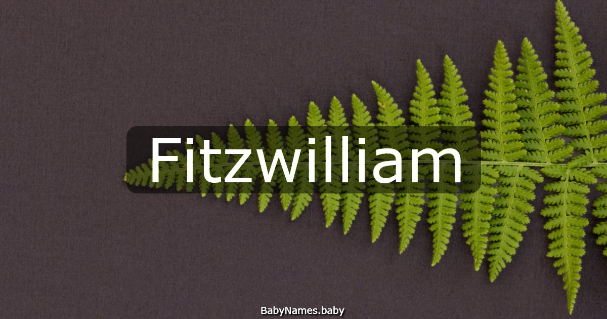 Fitzwilliam