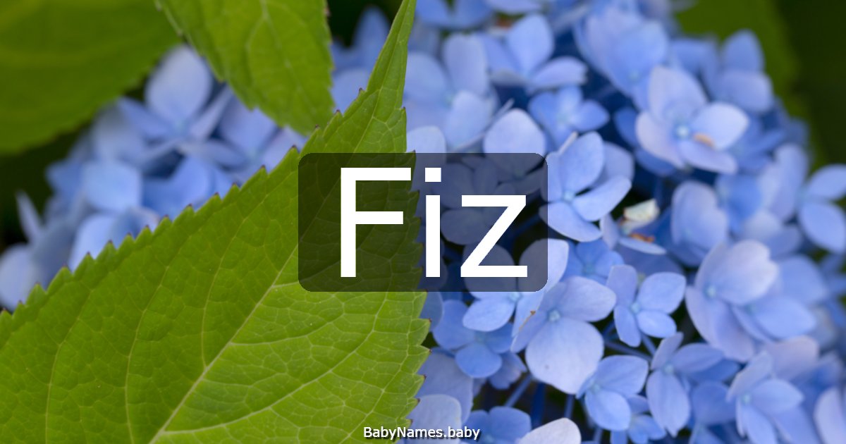 Fiz