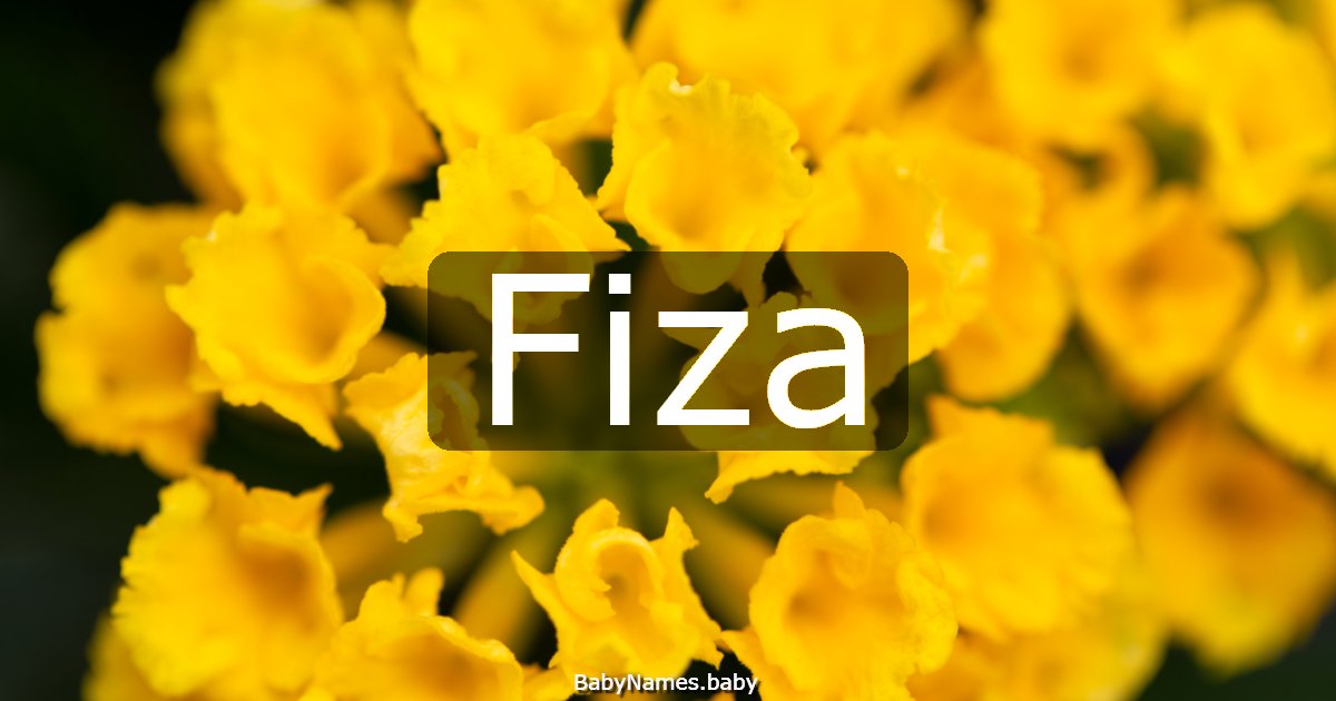 Fiza