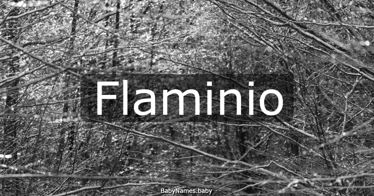 Flaminio
