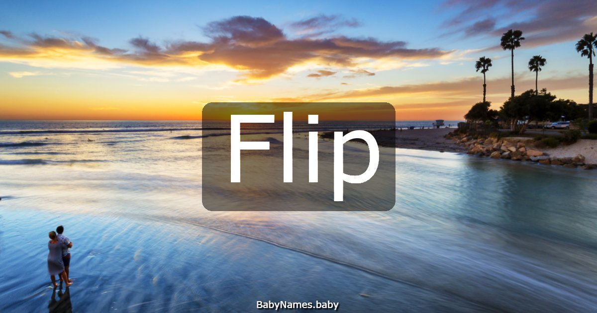 Flip