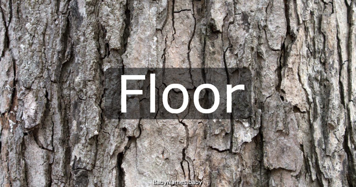 Floor