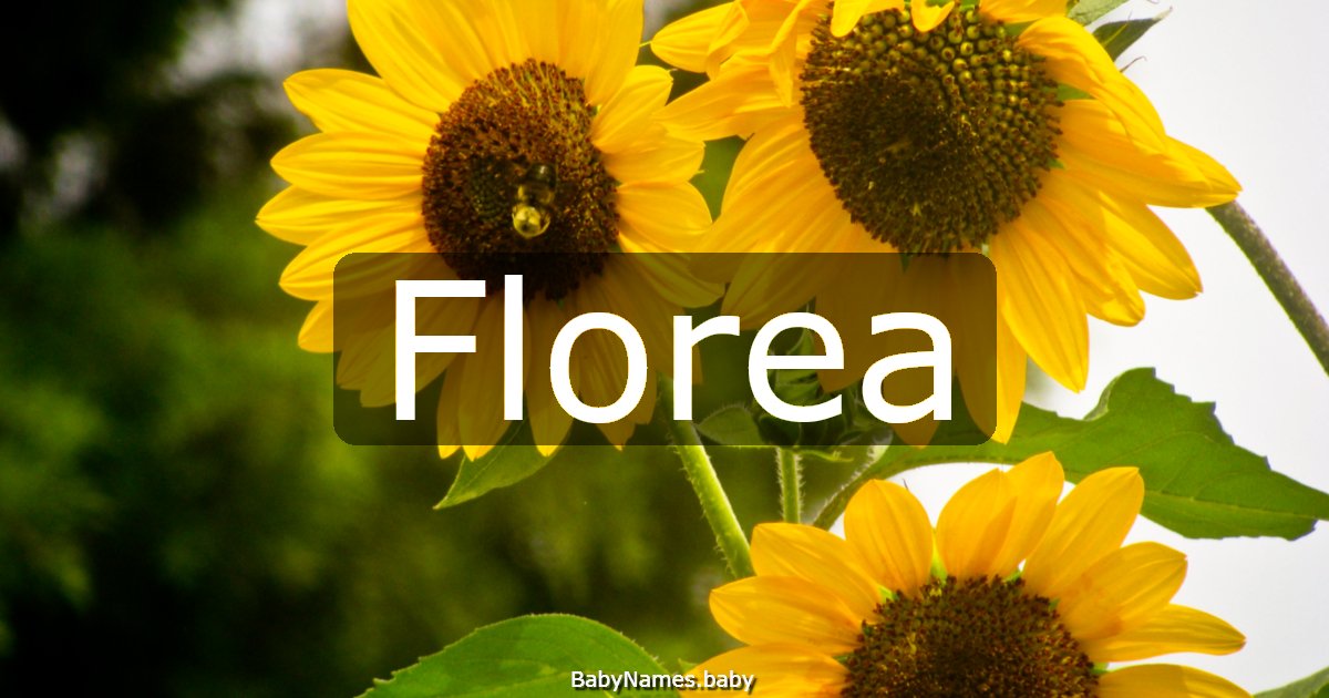 Florea