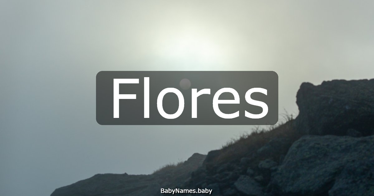 Flores