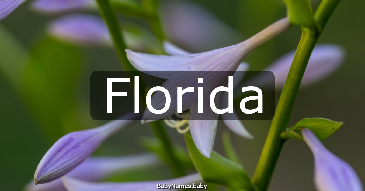 Florida