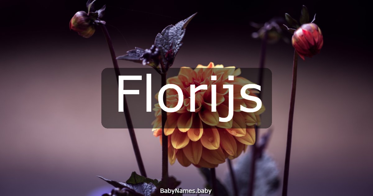 Florijs