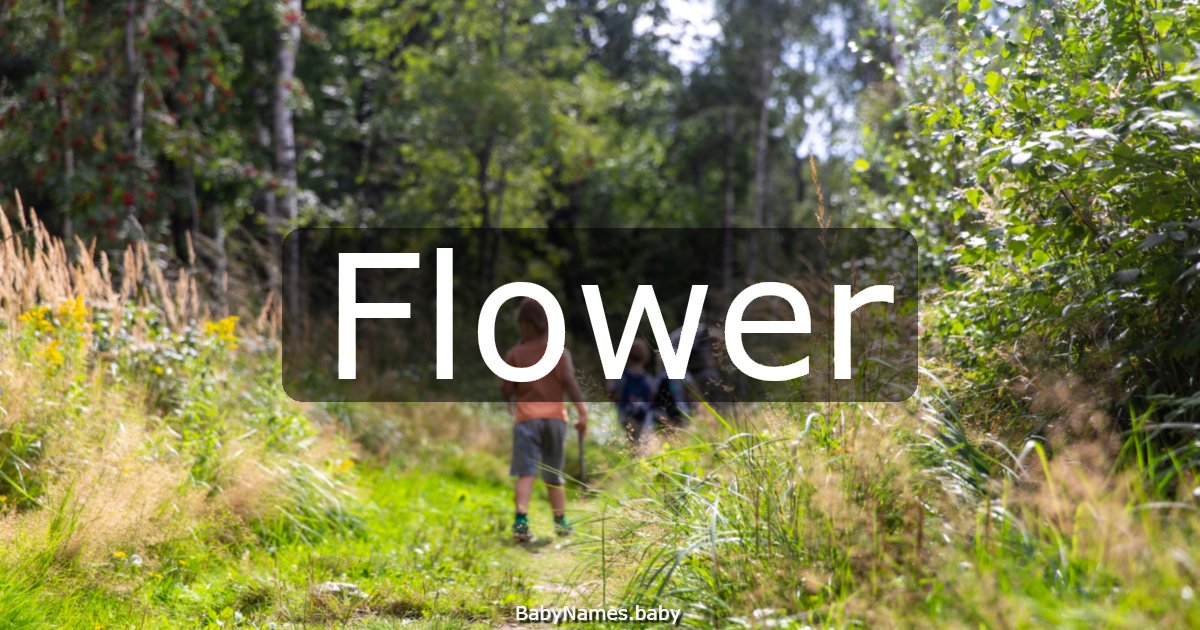 Flower