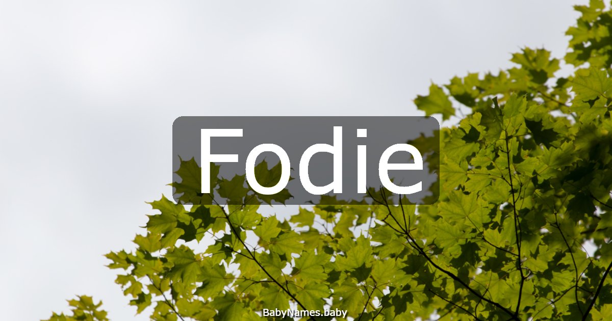 Fodie
