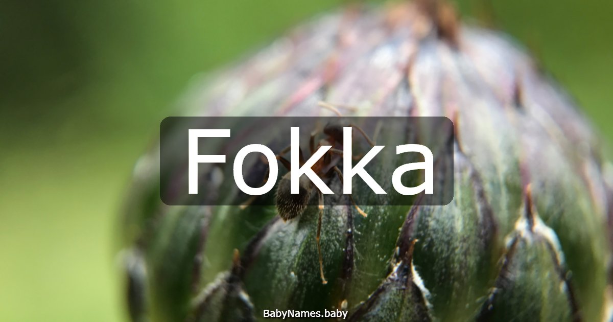 Fokka