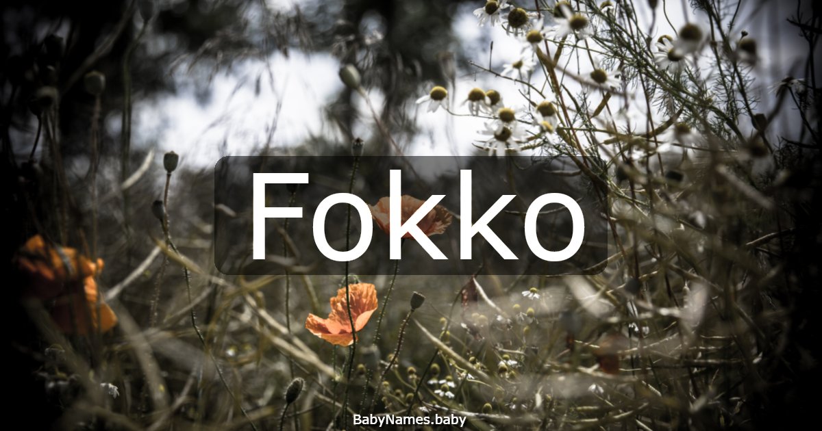 Fokko
