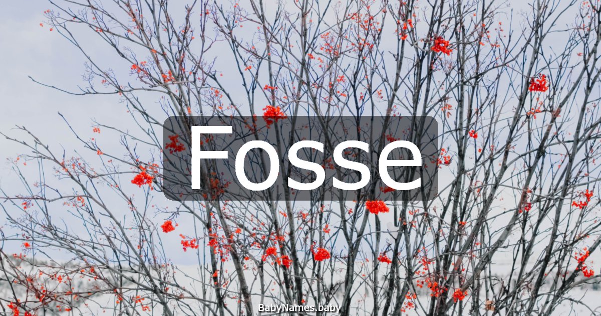 Fosse