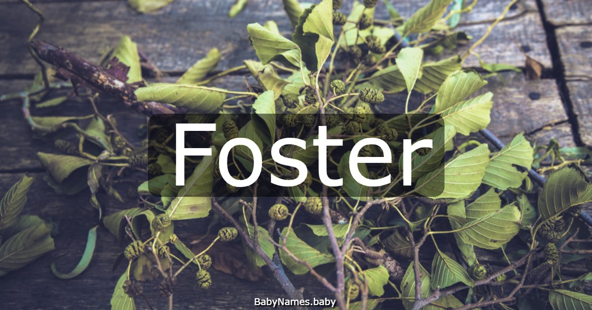 Foster