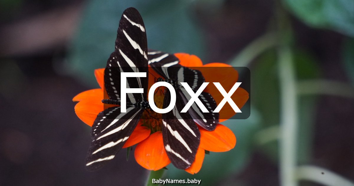 Foxx