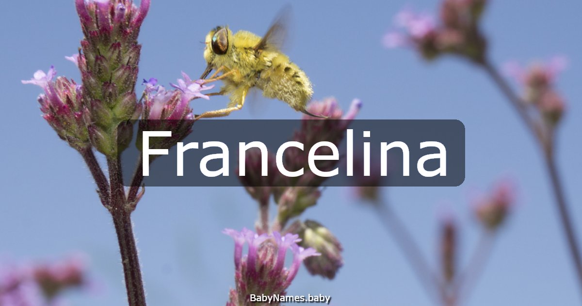 Francelina