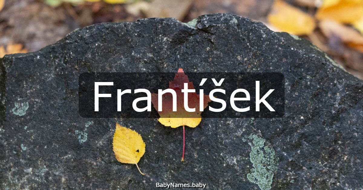 Frantíšek