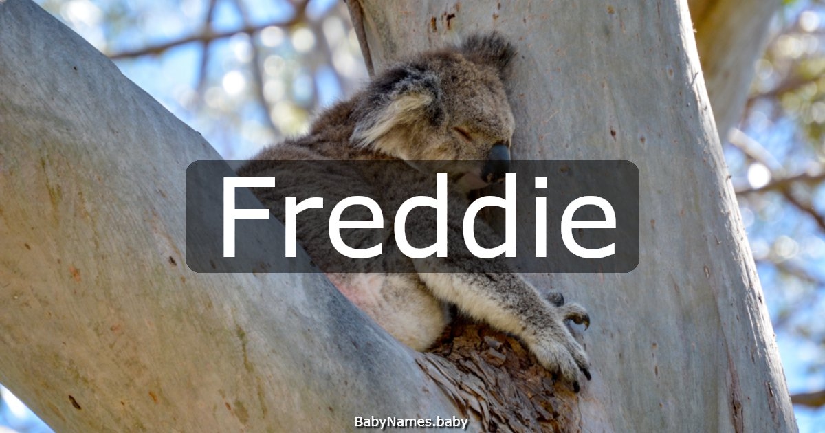 Freddie