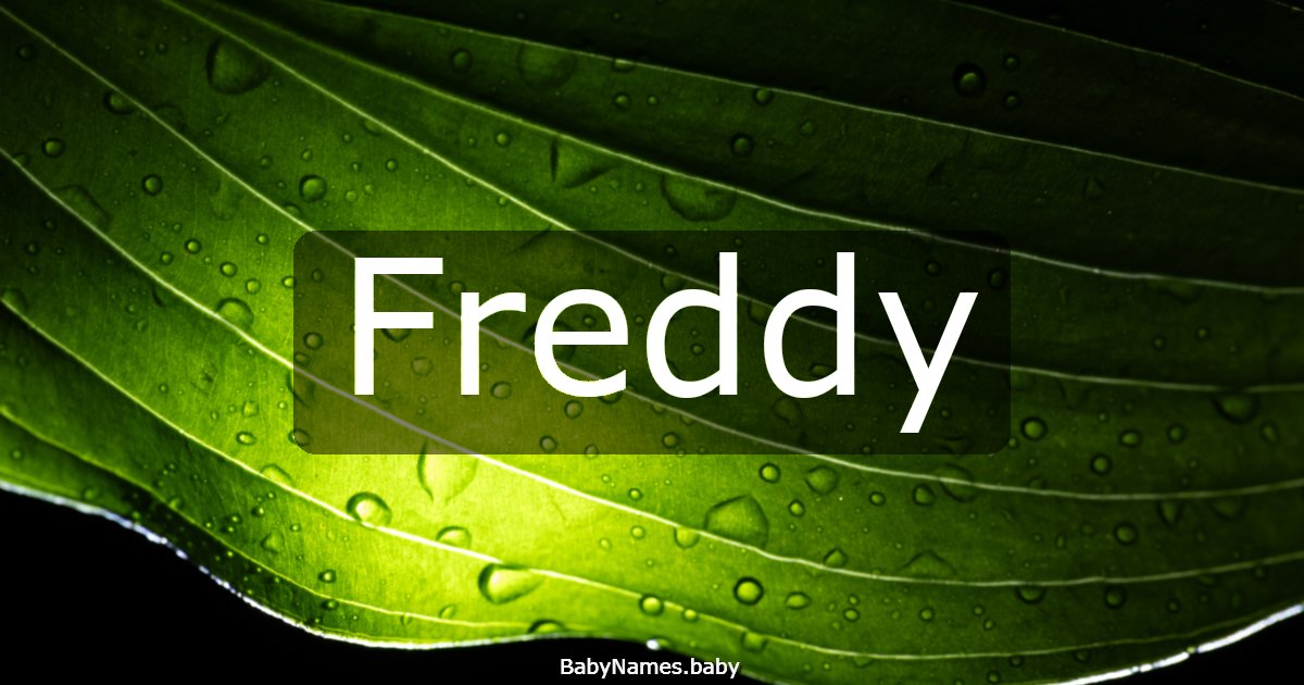 Freddy