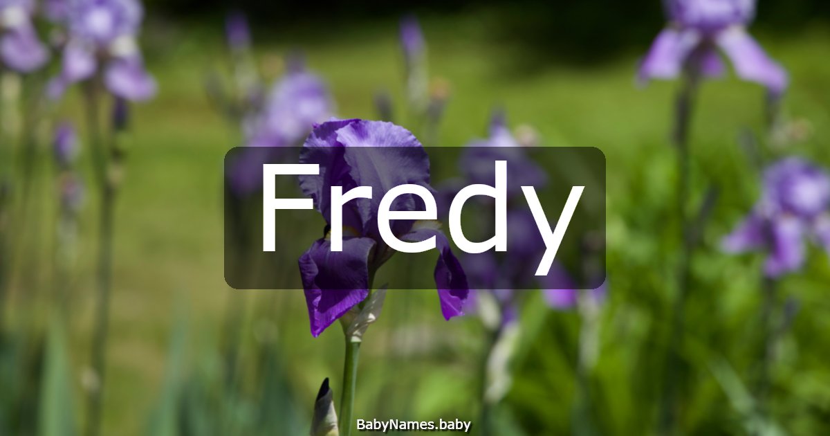 Fredy