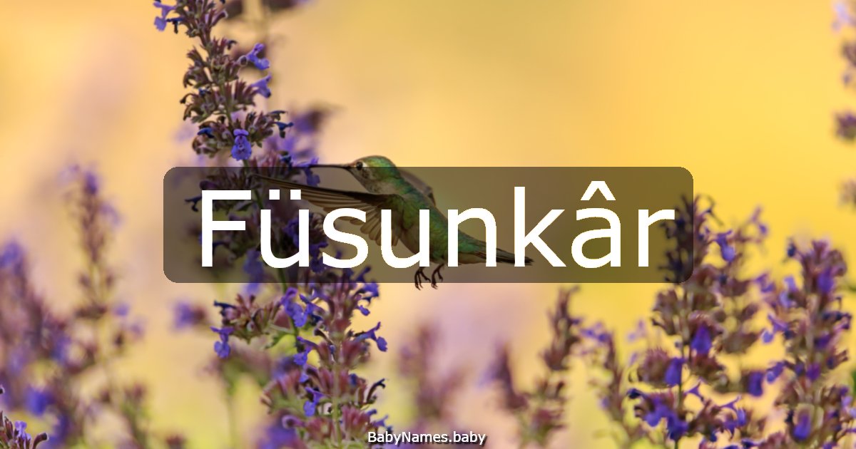 Füsunkâr