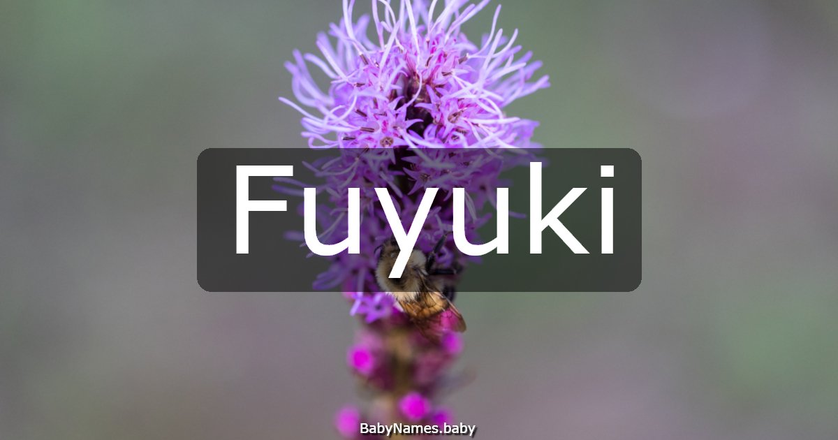 Fuyuki