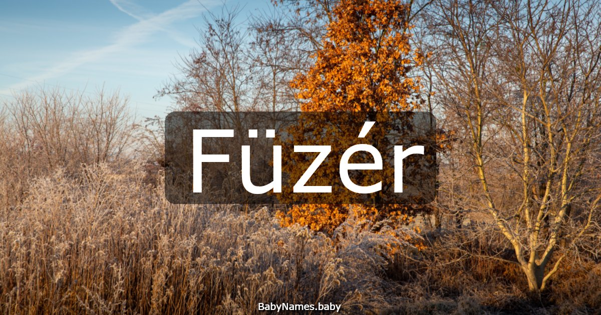 Füzér