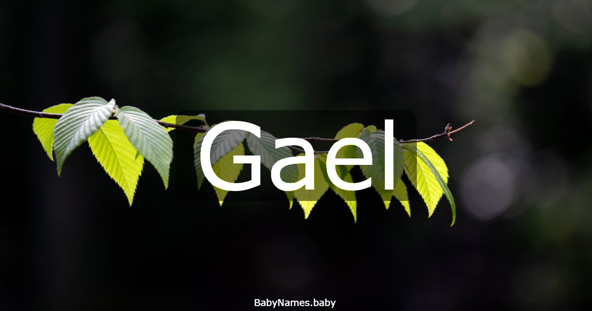 Gael