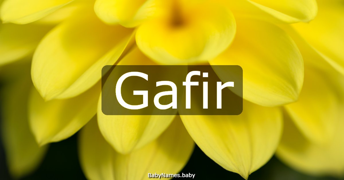Gafir
