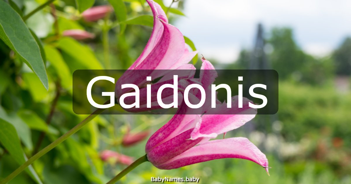 Gaidonis