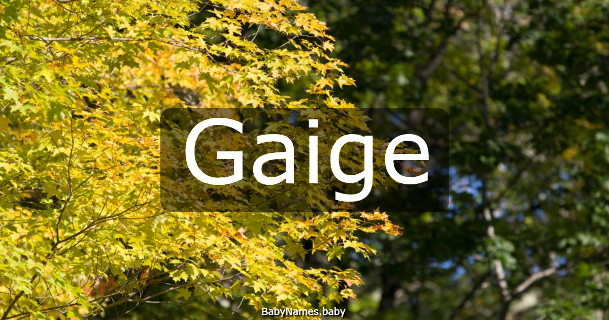 Gaige