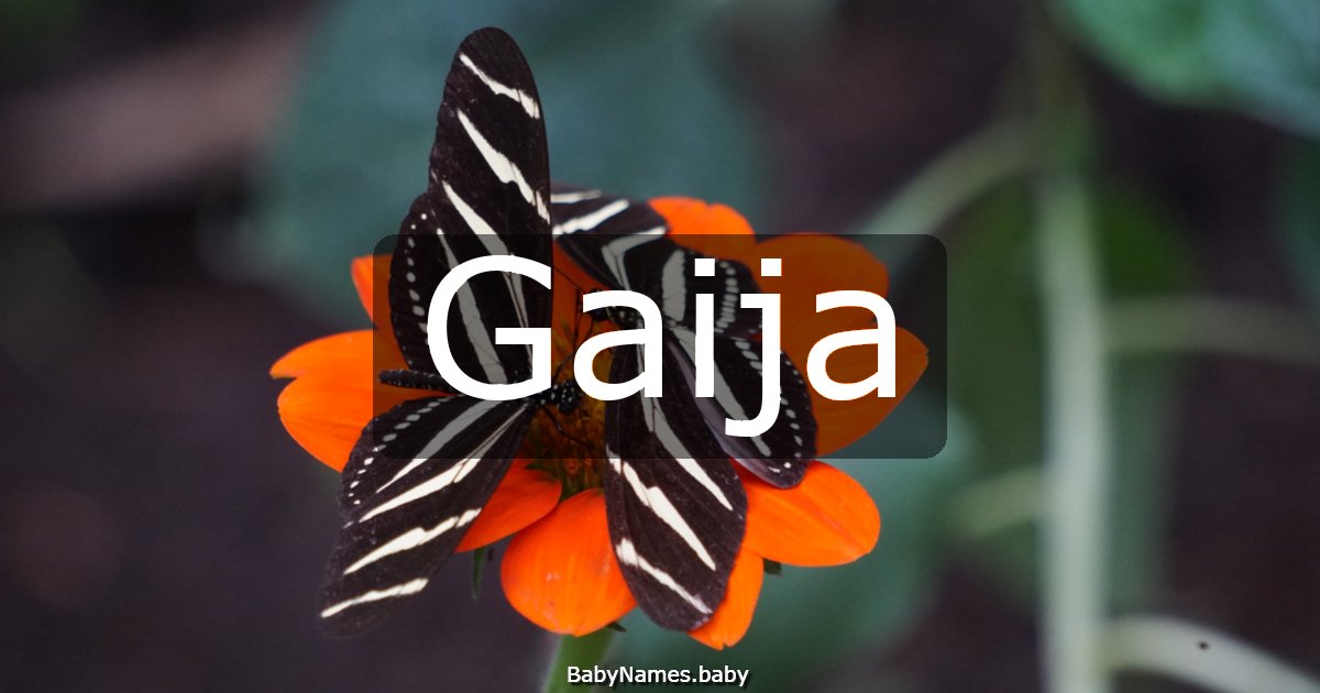 Gaija