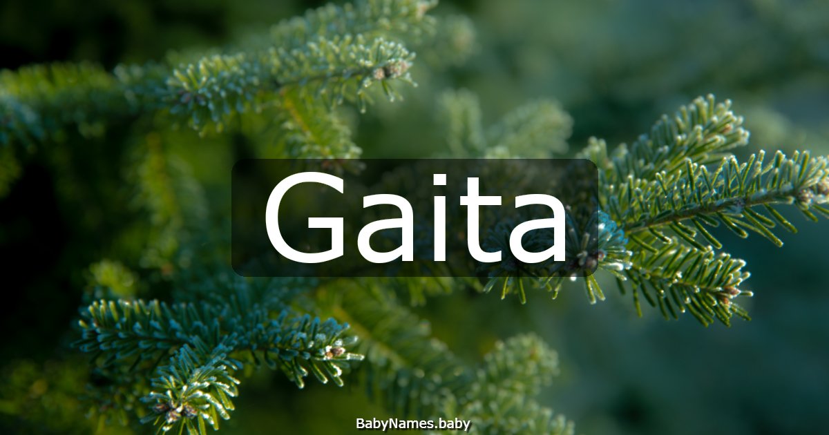 Gaita