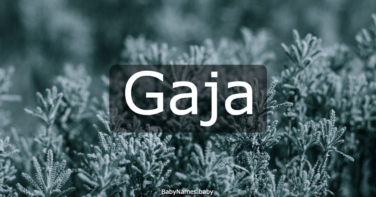 Gaja