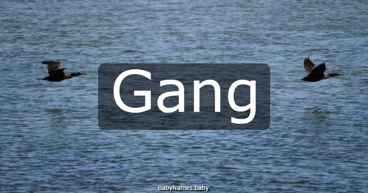 Gang