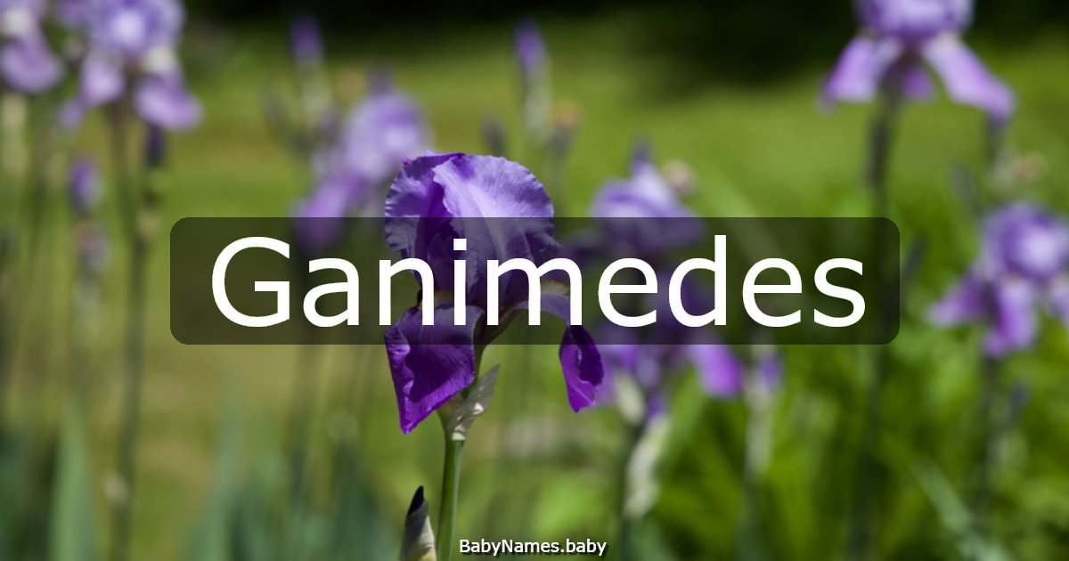Ganimedes