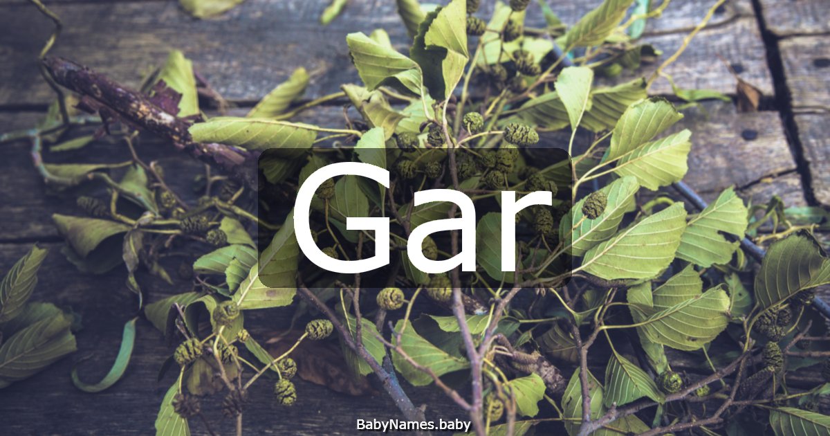Gar