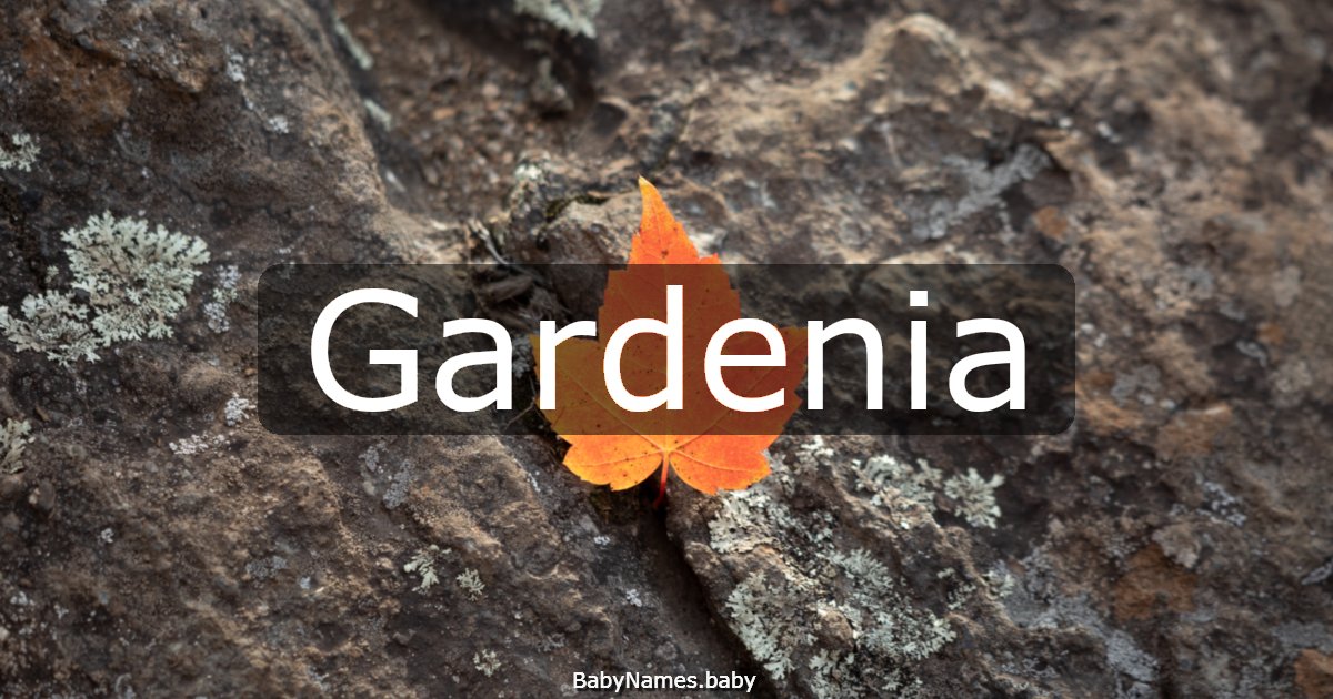 Gardenia