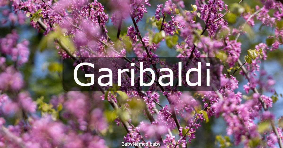 Garibaldi