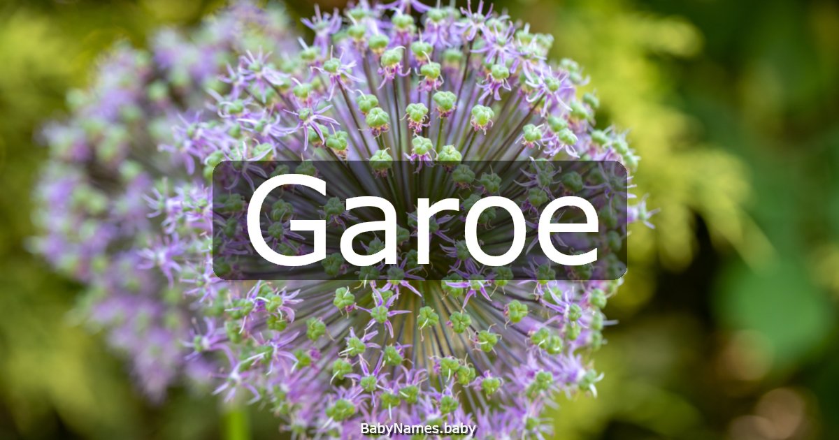 Garoe