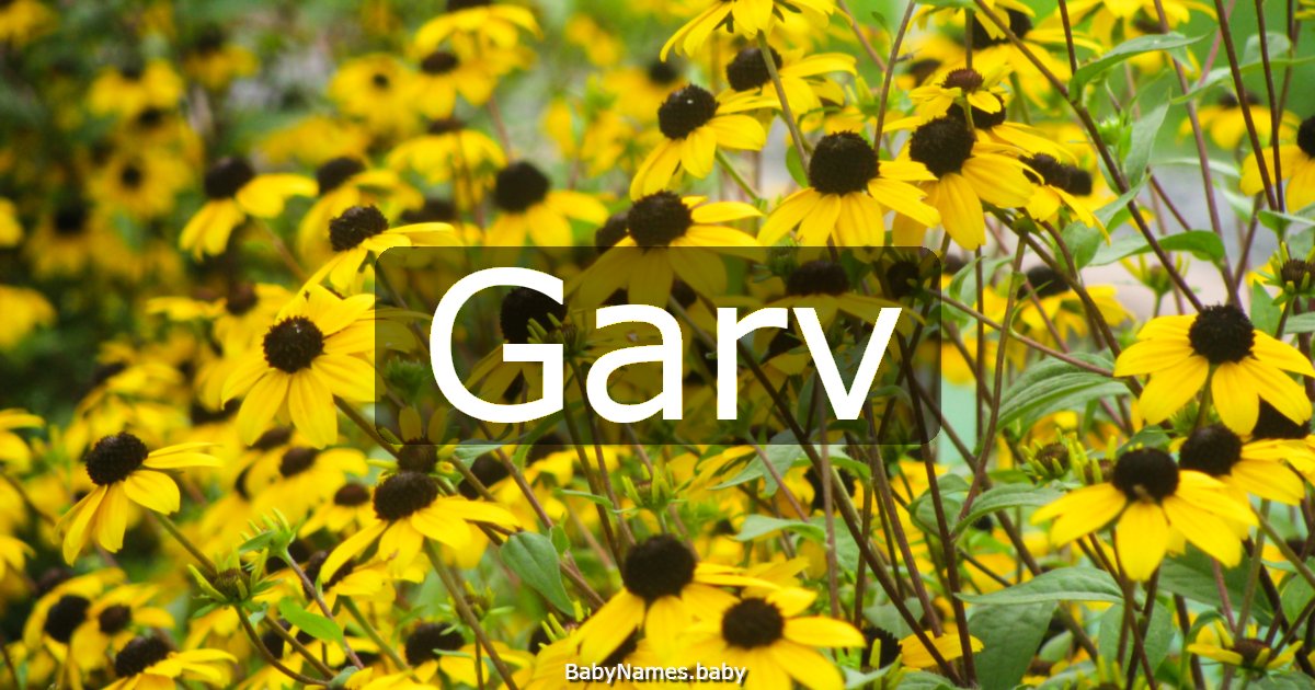 Garv